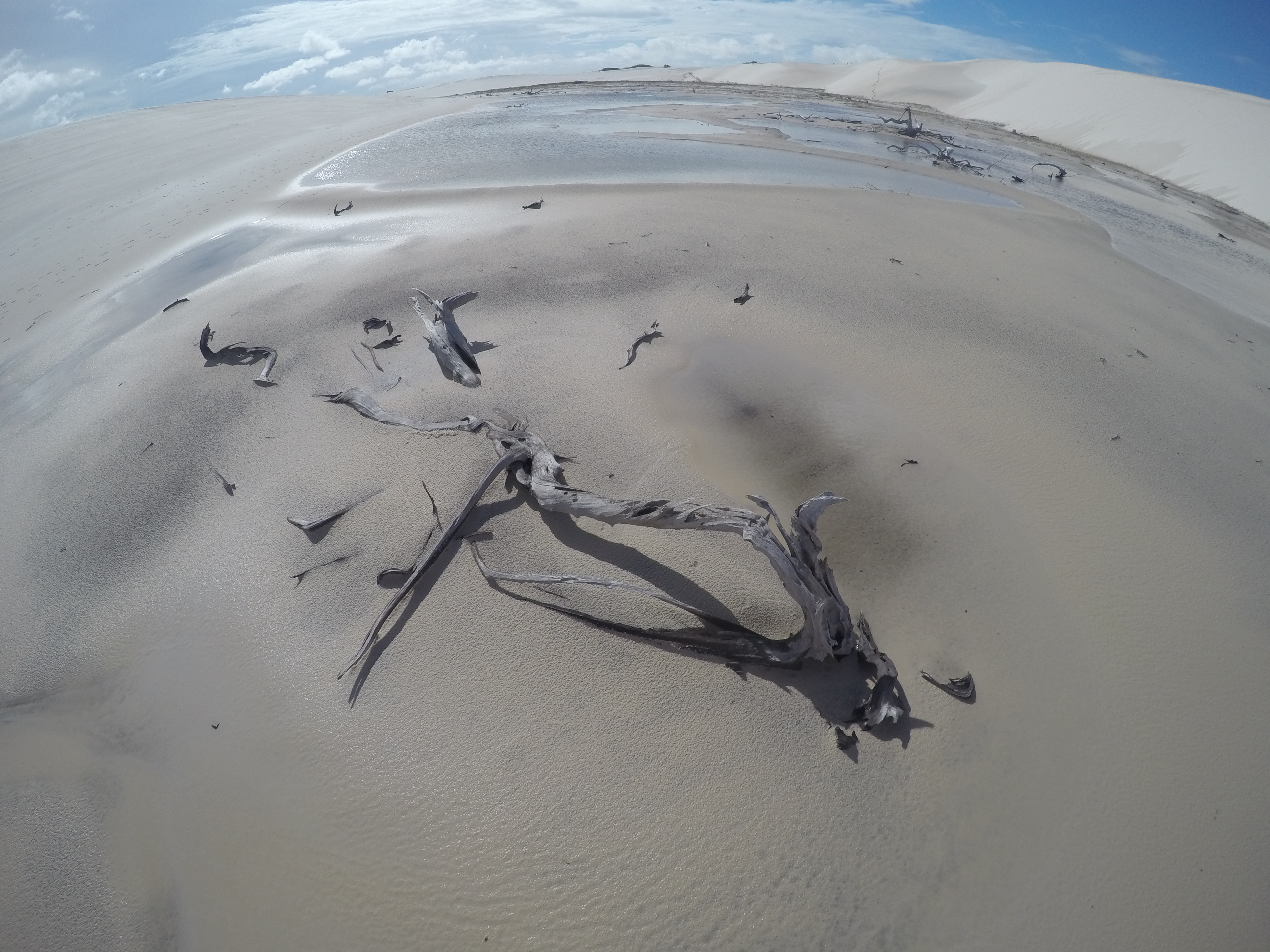 Parque de Lencois nordeste do Brasil