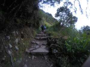 Machu Picchu Perù