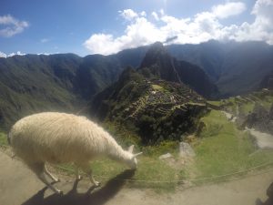 Machu Picchu Perù