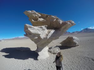 Árbol de piedra Desierto Atacama Sur lopes Bolivia