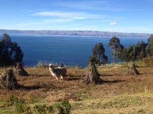 Isla del Sol Lago Titicaca Perú Bolivia Copacabana