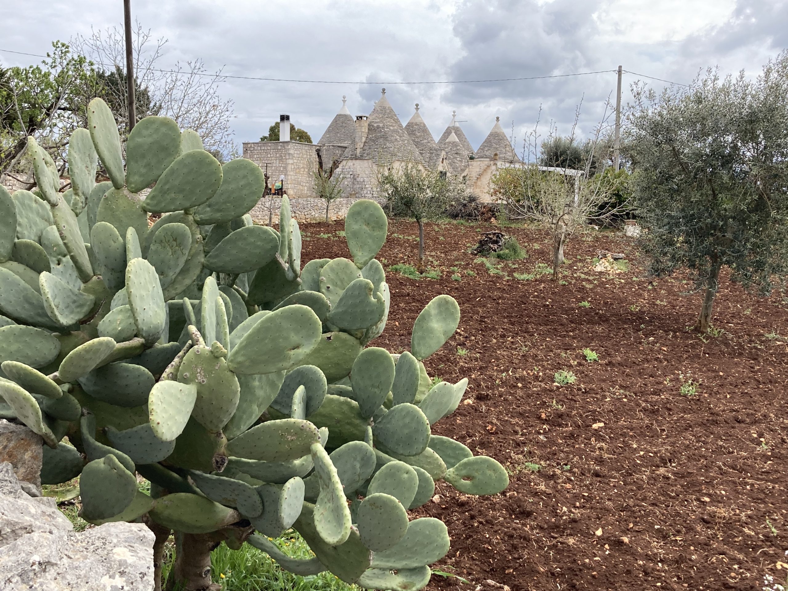 Trulli Puglia - Jean Michel Voyage