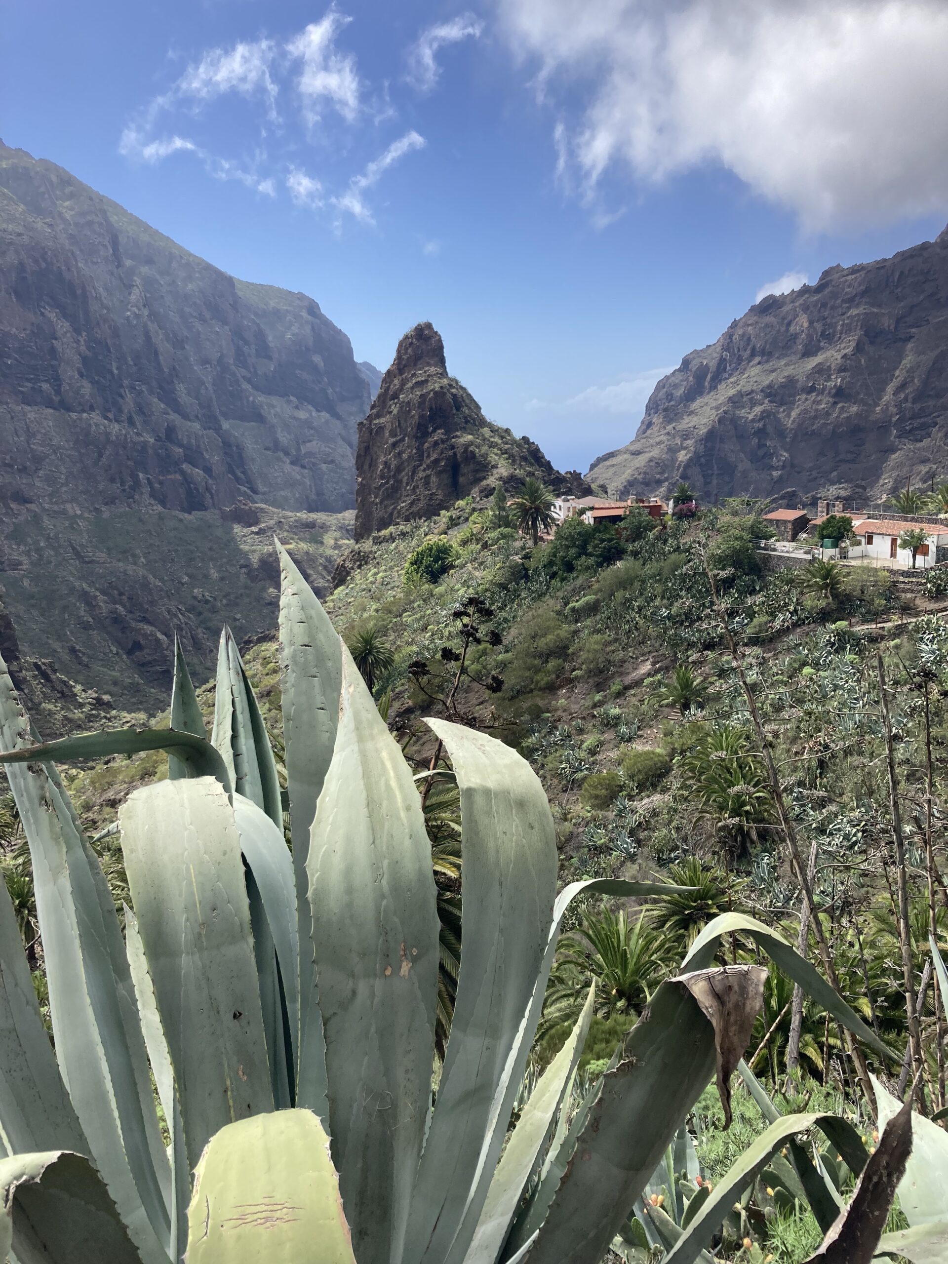 Masca Tenerife - Jean Michel Voyage