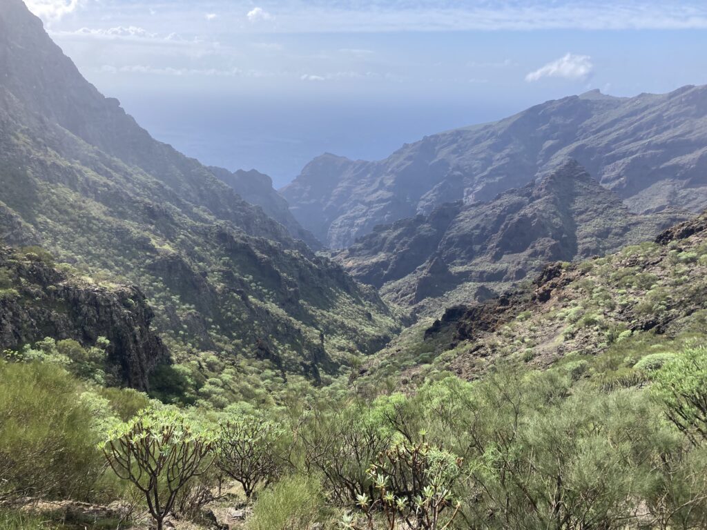 Hiking Masca Tenerife - Jean Michel Voyage