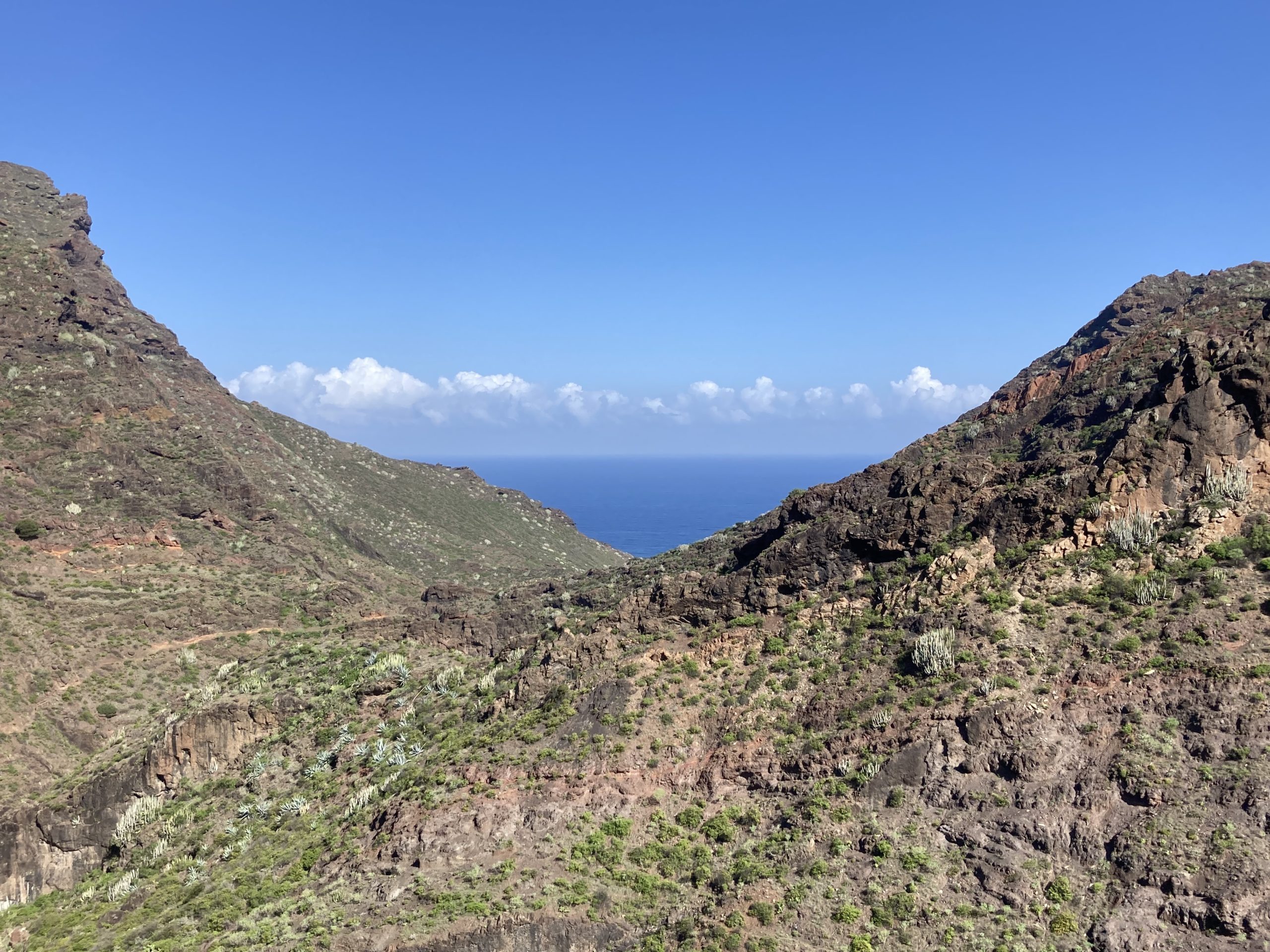 Teno - Punta de Teno hiking Jean Michel Voyage